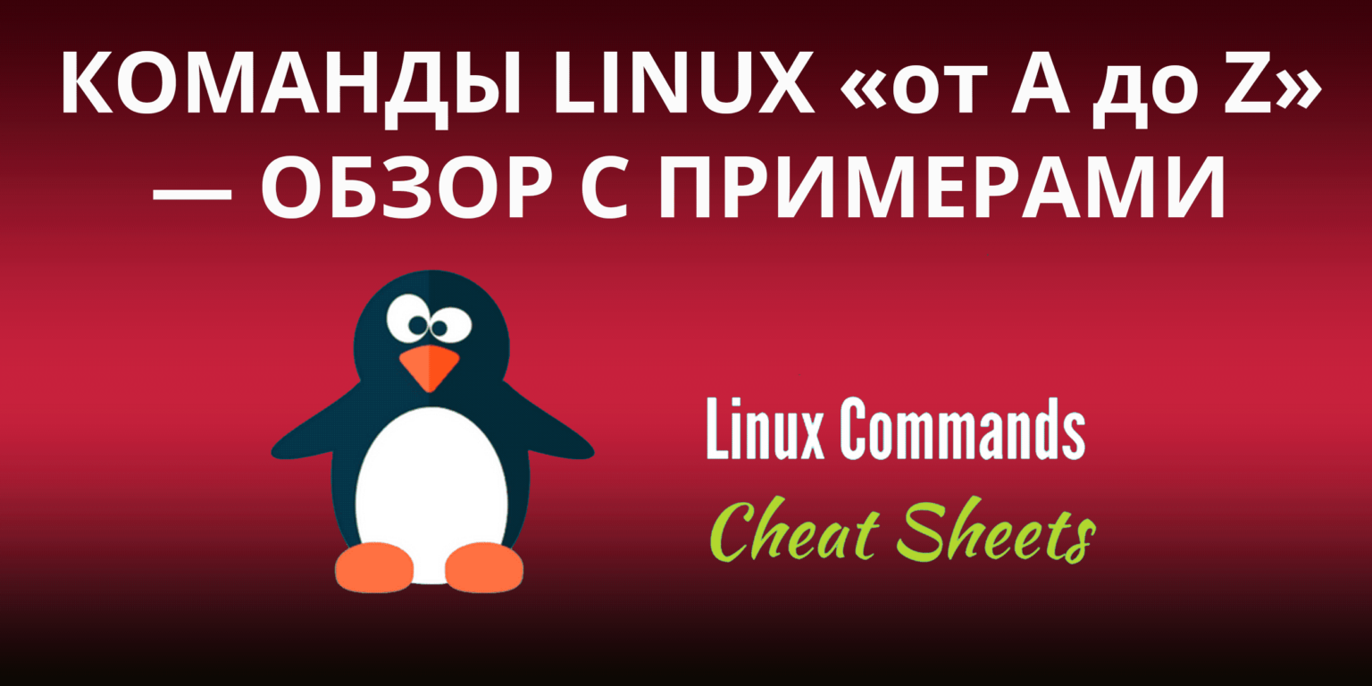 71 команда linux на все случаи жизни ну почти