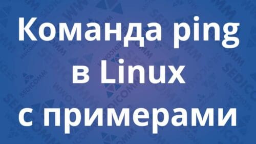 Команда ping в Linux с примерами