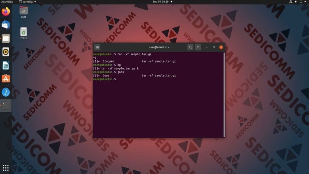 bg command