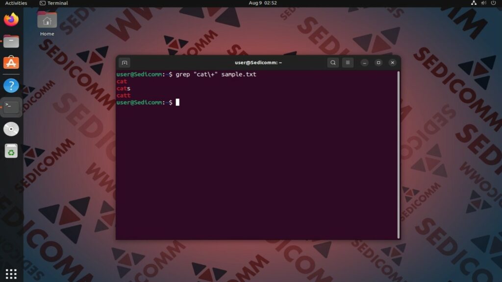 grep escaping meta symbol plus