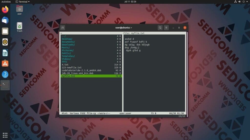 view-file