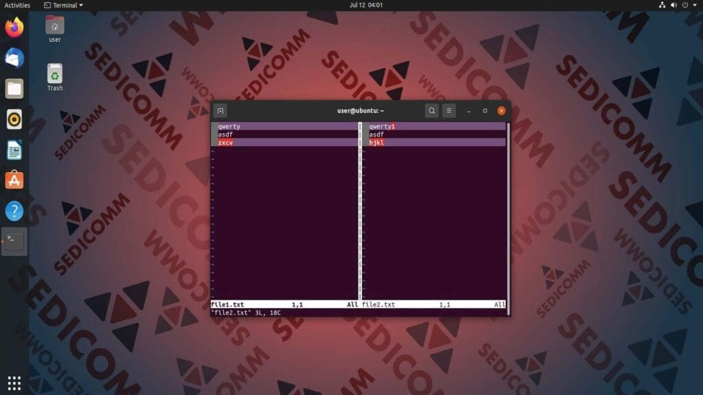 vimdiff