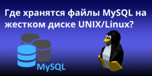 Where-Are-MySQL-Files-Stored-in-a-UNIX_Linux-Harddisk