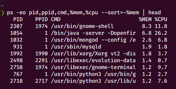 Посчитать количество процессов запущенных пользователем user и вывести в файл пары