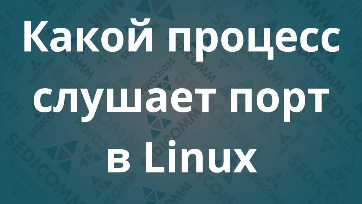 Какой процесс слушает порт в Linux