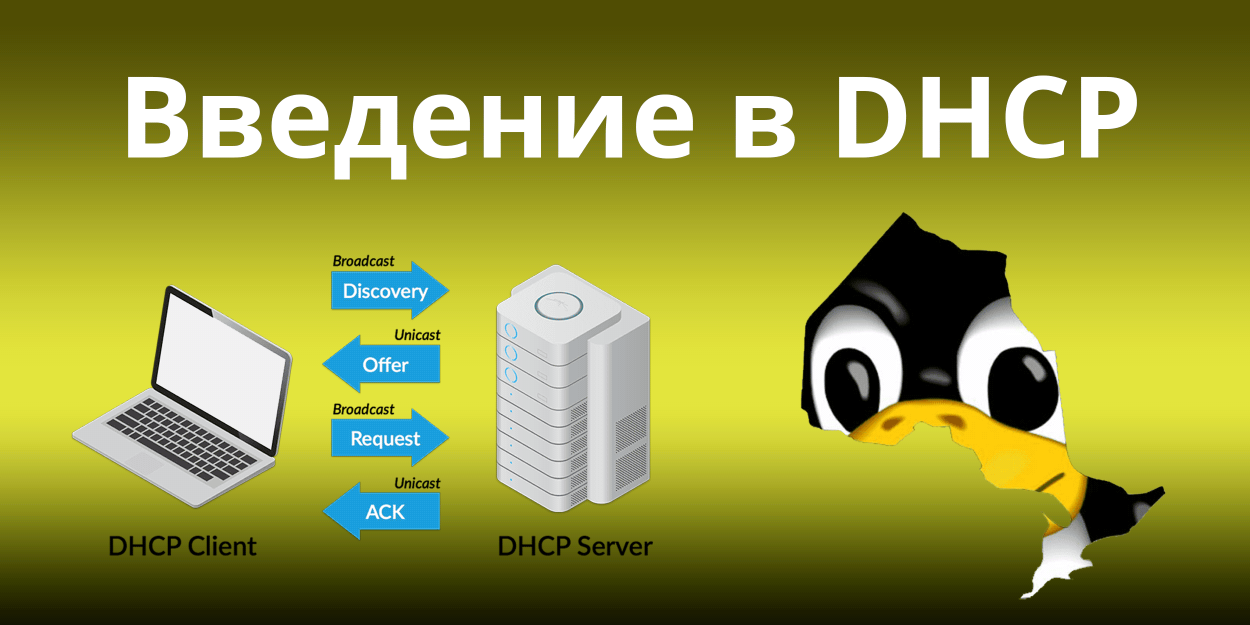 Введение в DHCP (протокол динамической конфигурации хоста)