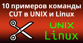 10 примеров команды CUT в UNIX и Linux