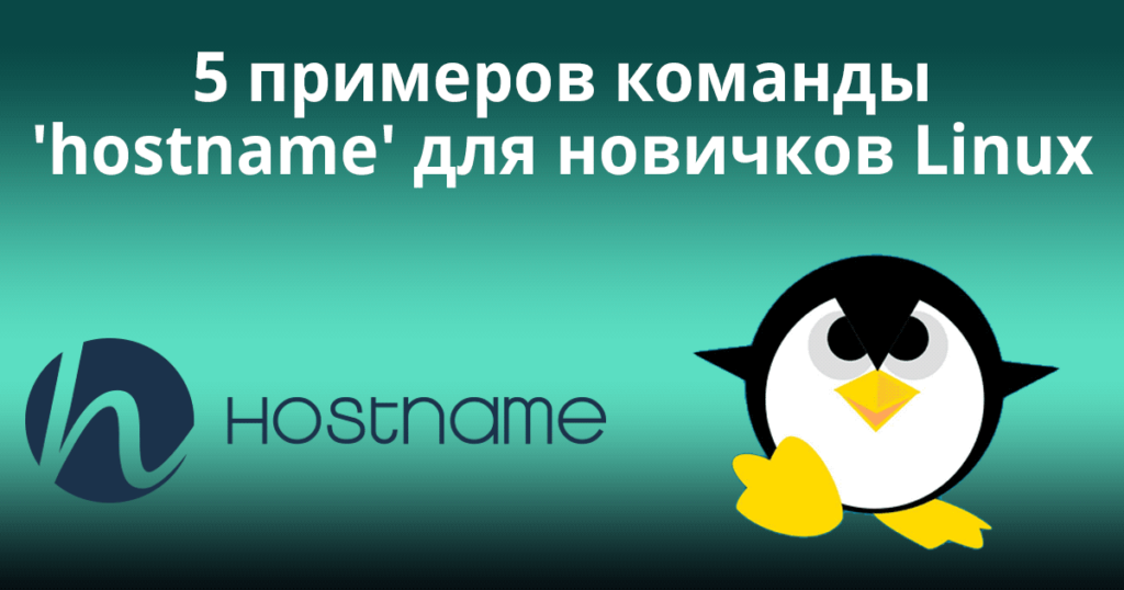 5 примеров команды 'hostname' для новичков Linux