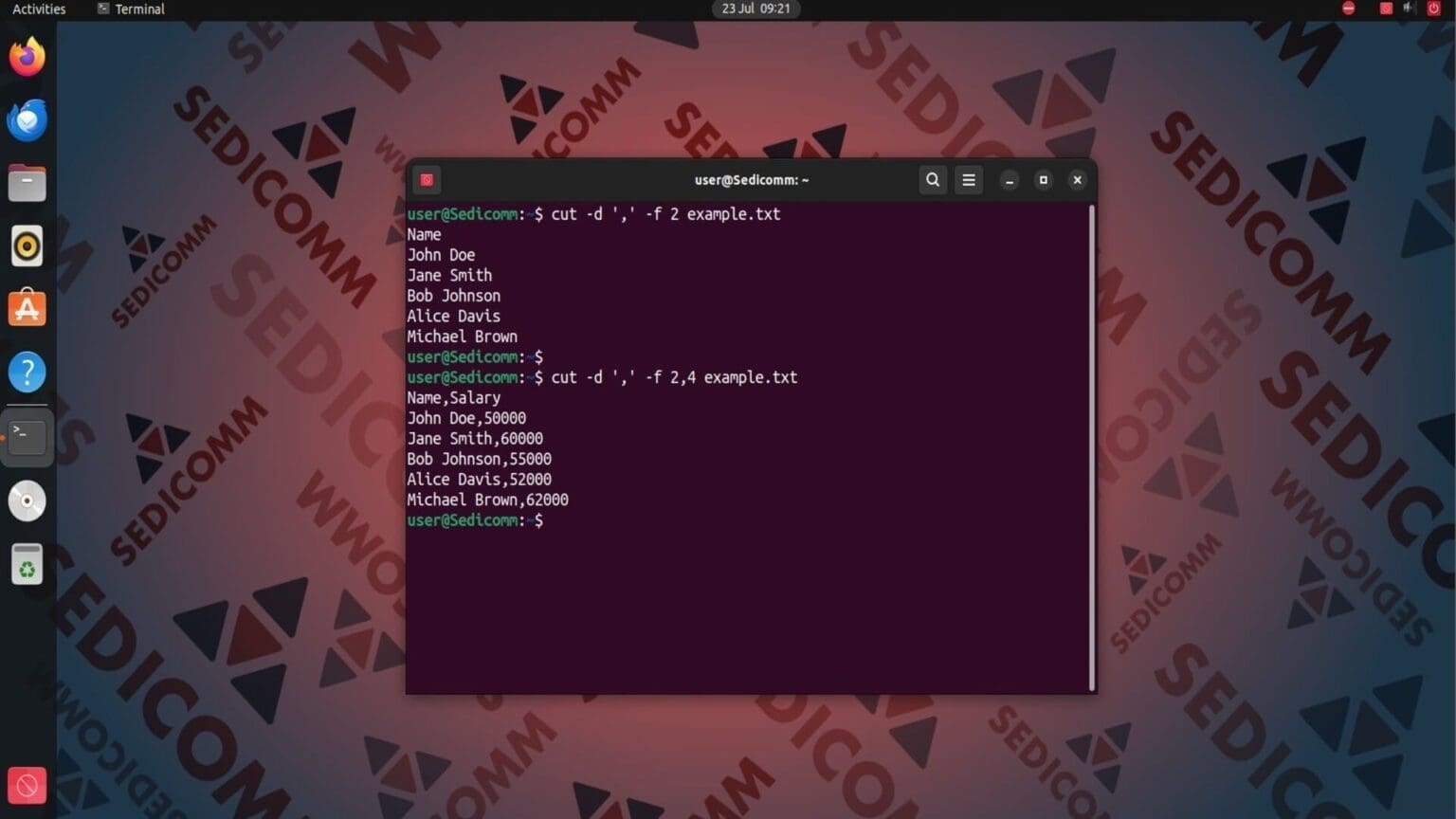 Команда cut в Linux с примерами