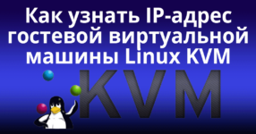 Узнать адрес виртуальной машины