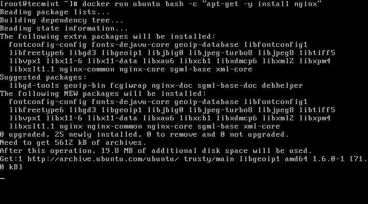 Install-Nginx-on-Ubuntu-Docker-Container
