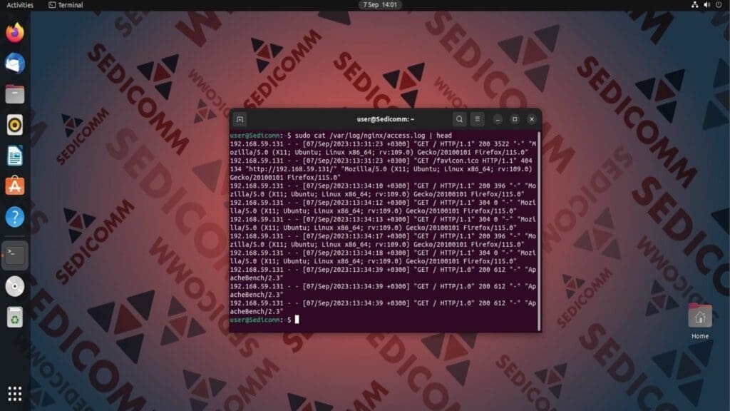 cat nginx log