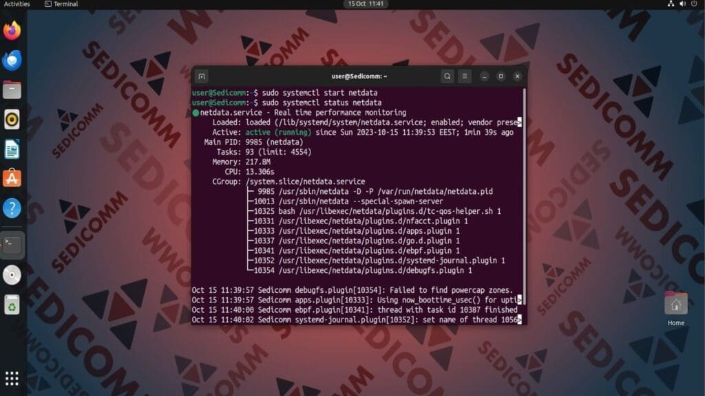 netdata status
