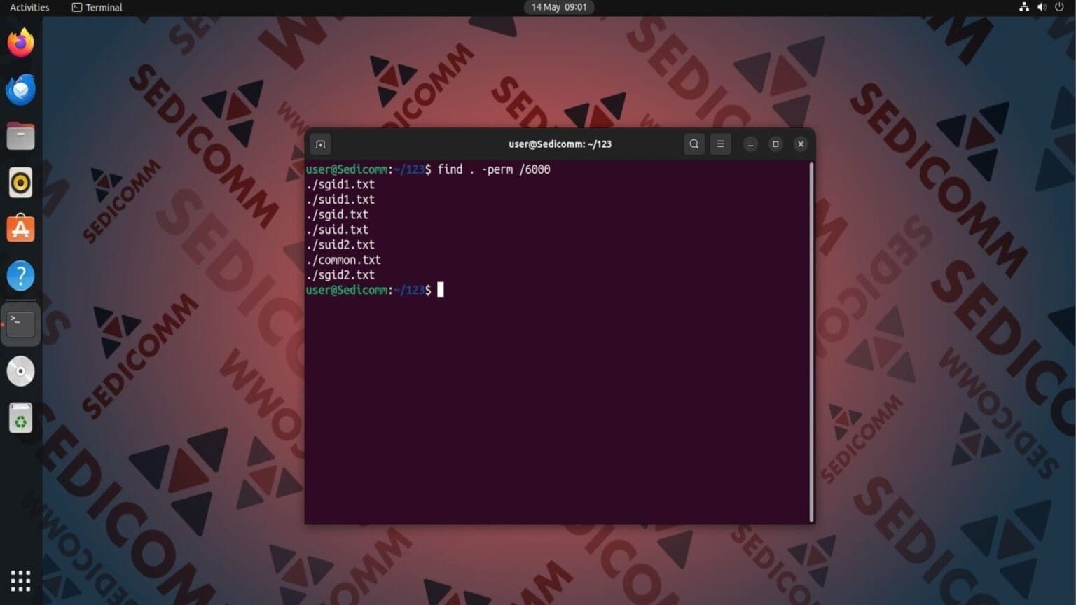 Как найти файлы с разрешениями setuid и setgid в Linux