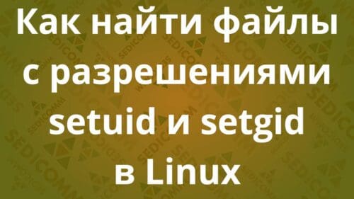 Как найти файлы с разрешениями setuid и setgid в Linux