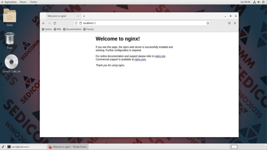 nginx in browser