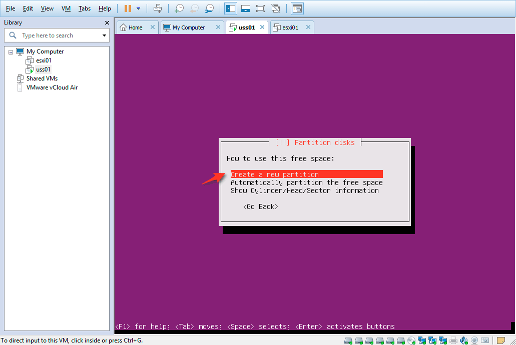 Install-Ubuntu-RAID-1---Step-13