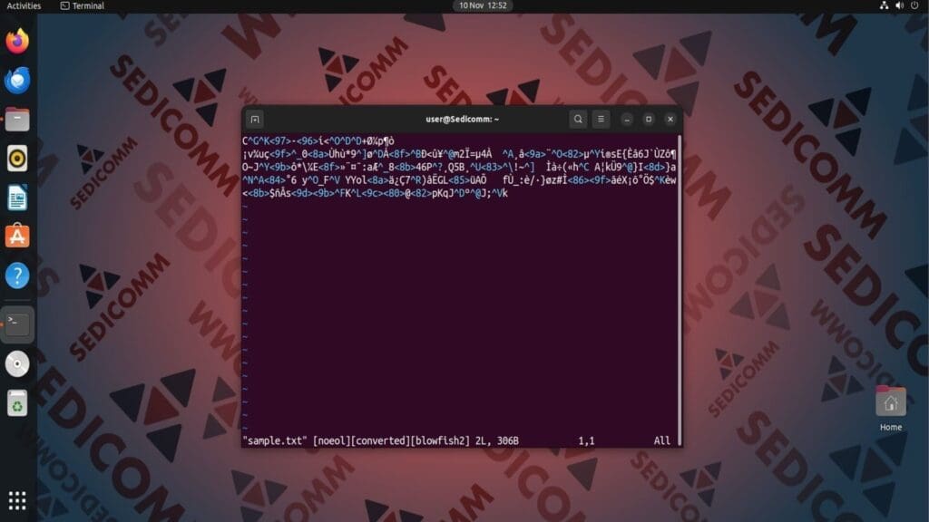 vim wrong password