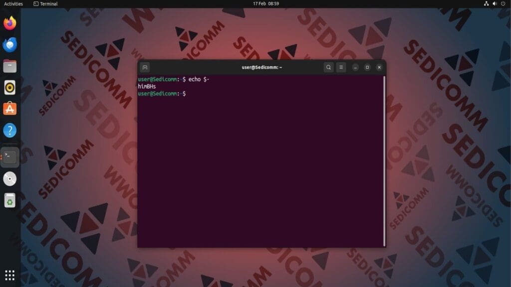 current shell options