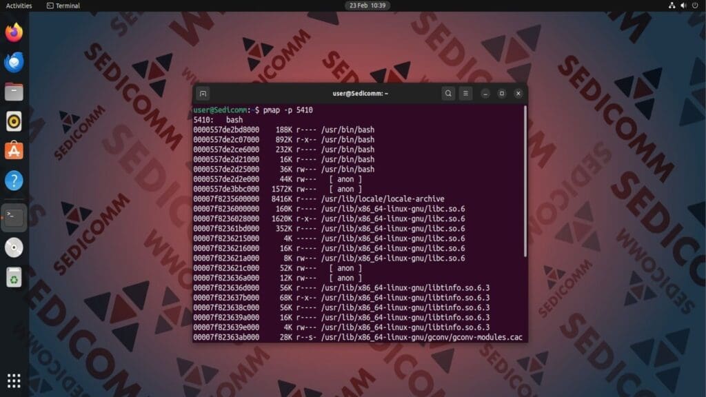 pmap path to process
