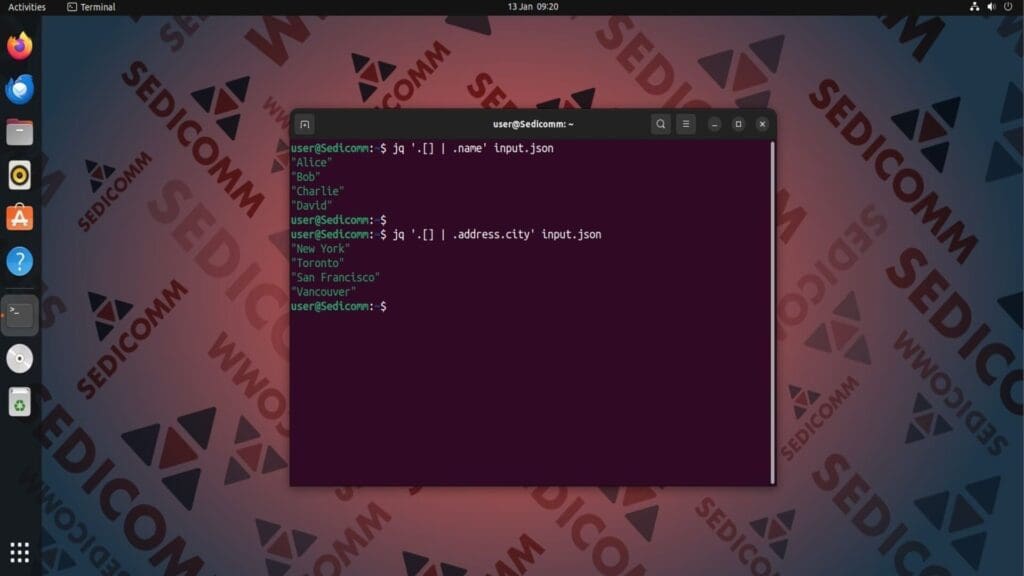 jq extract specific keys from each object