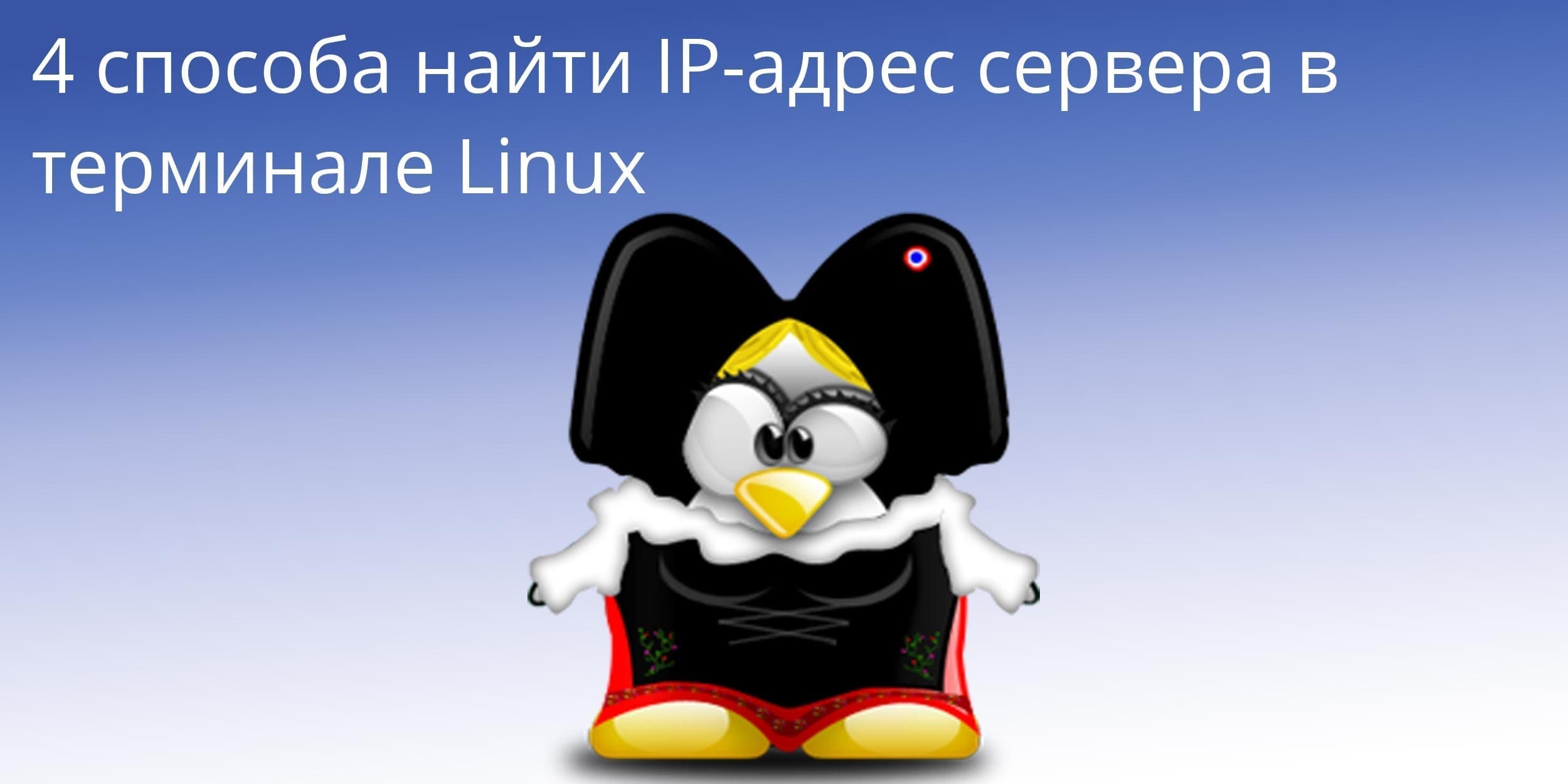 4 способа найти IP-адрес сервера в терминале Linux