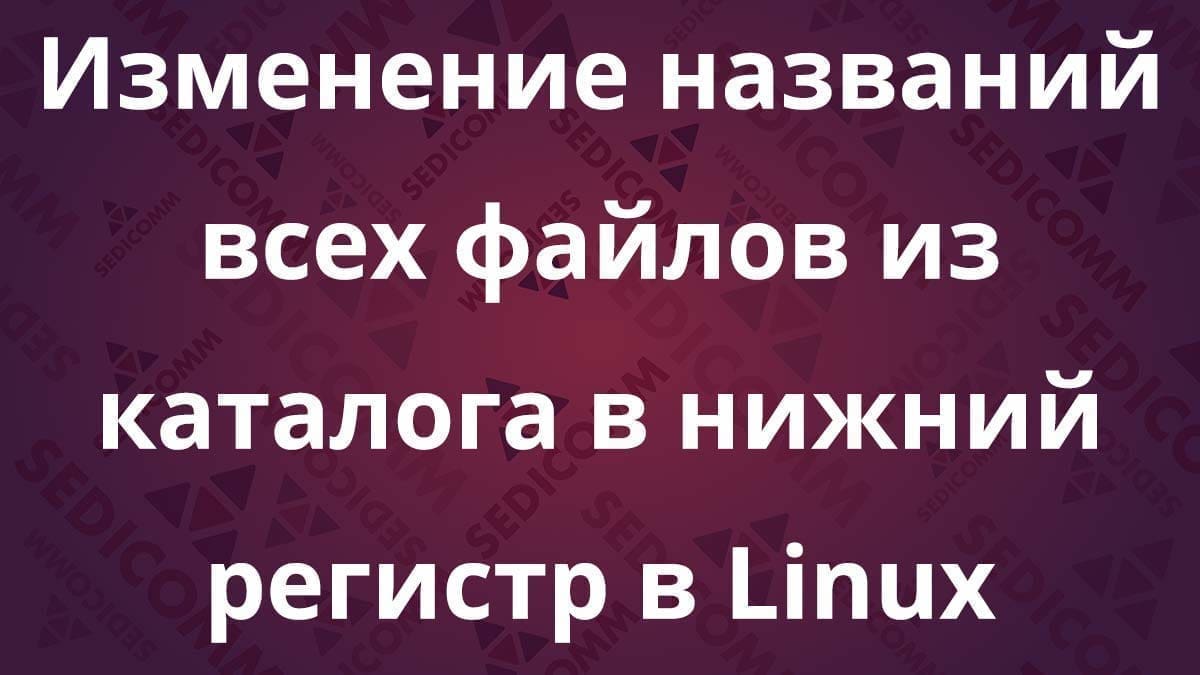 Изменение названий всех файлов из каталога в нижний регистр