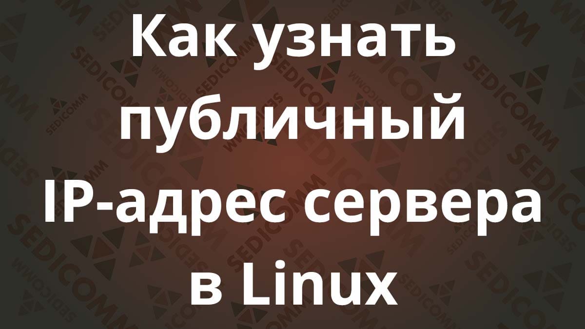 Как узнать публичный IP-адрес сервера в Linux