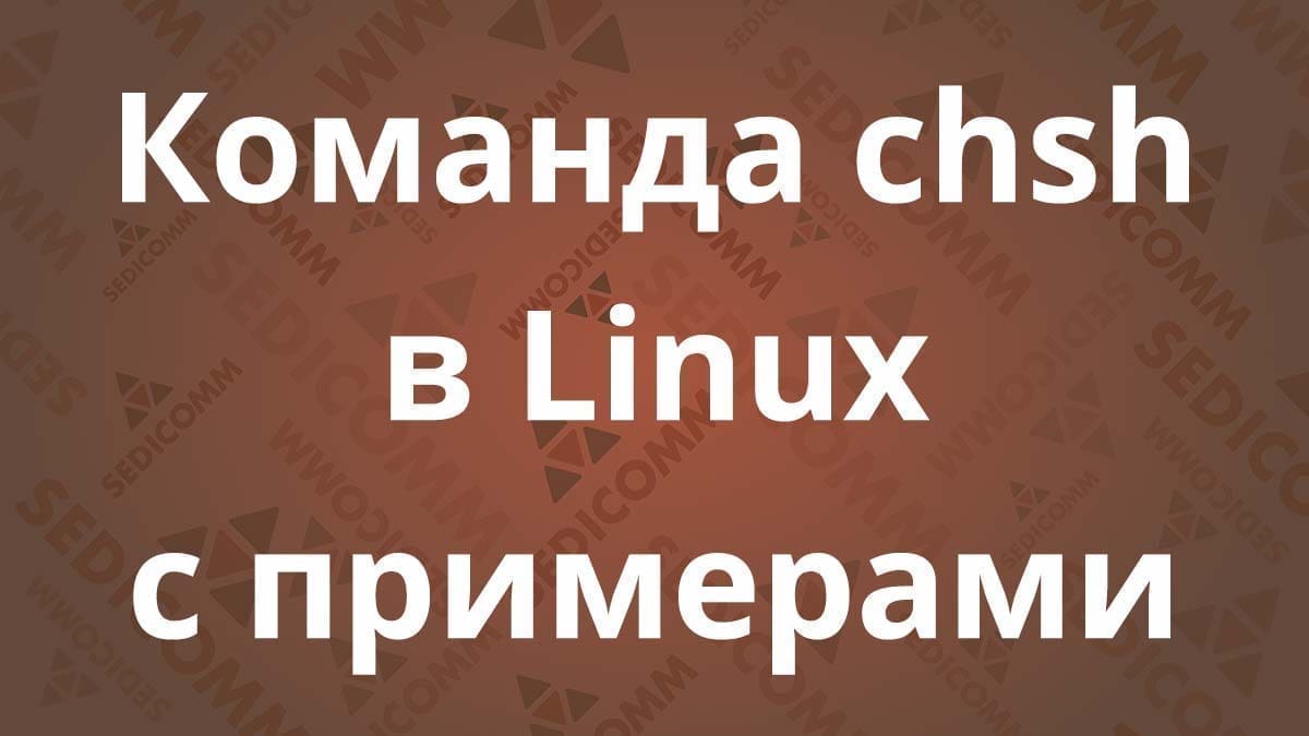 Команда chsh в Linux с примерами