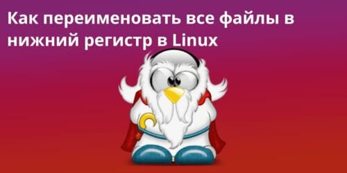 rename files - Как переименовать все файлы в нижний регистр в Linux