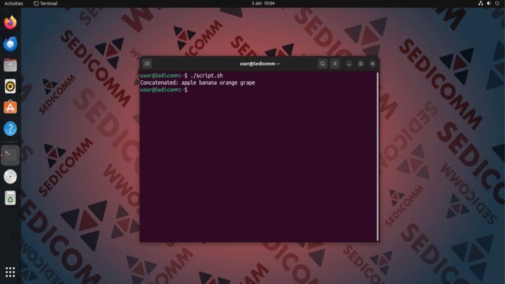 using bash loop exec