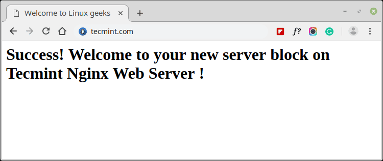 Check-Nginx-Server-Block-Website-on-Debian-10
