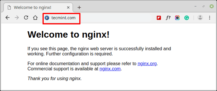 Check-Nginx-with-Domain-on-Debian-10