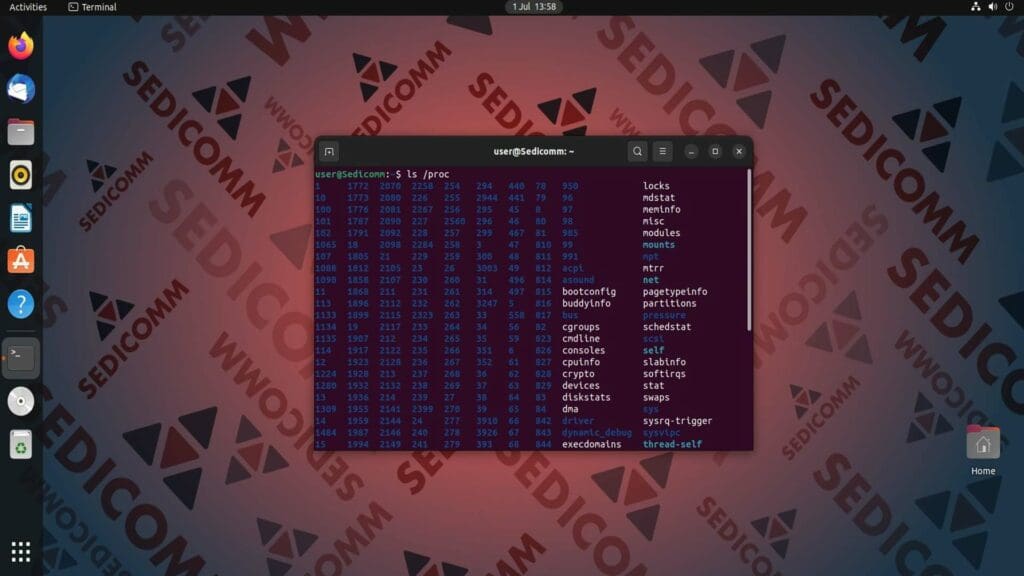 ls-proc