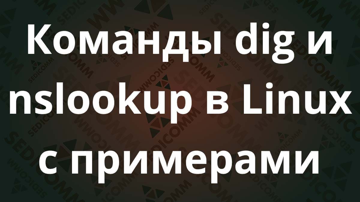 Команды dig и nslookup в Linux с примерами