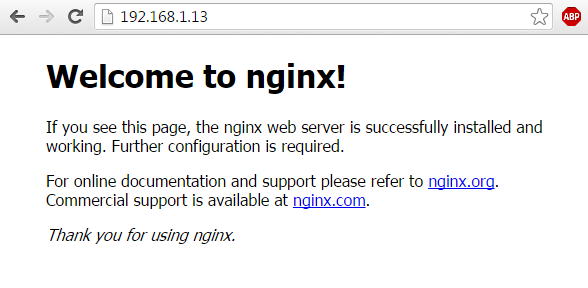 Verify-Nginx-Webpage