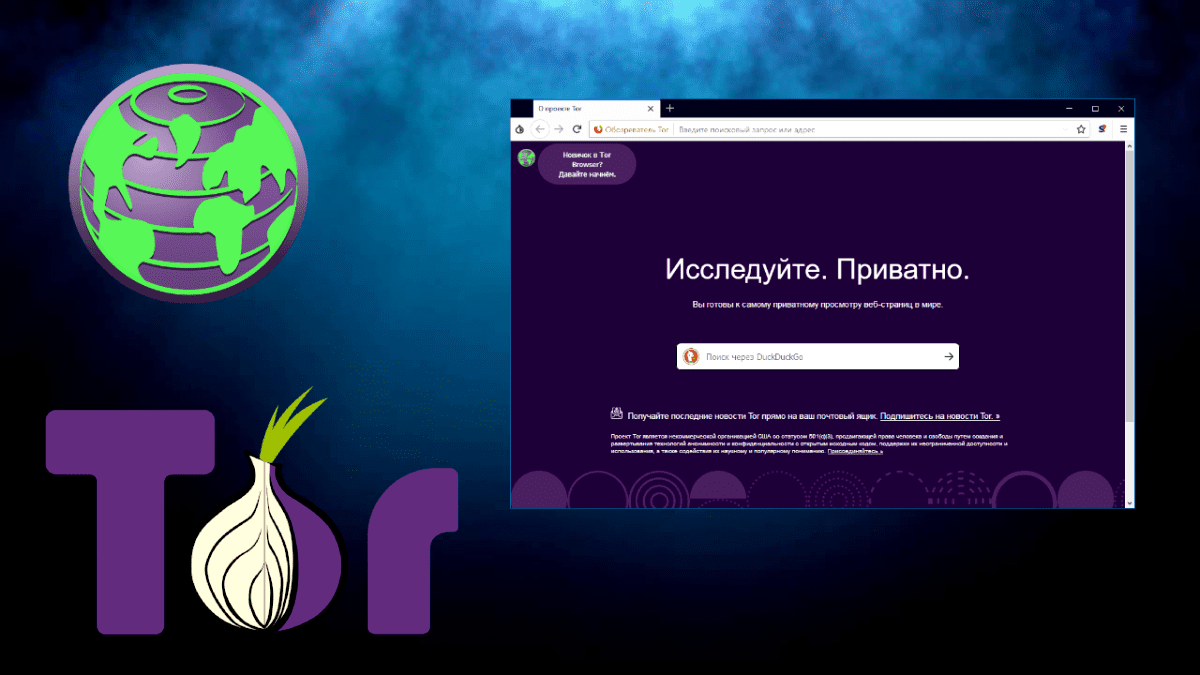 Tor browser какой самый надежный darknet onion hyrda