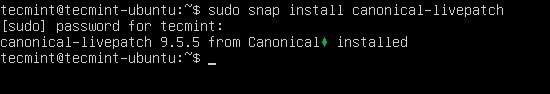 Install-Canonical-Livepatch-in-Ubuntu