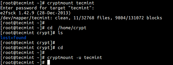 access encrypted filesystem