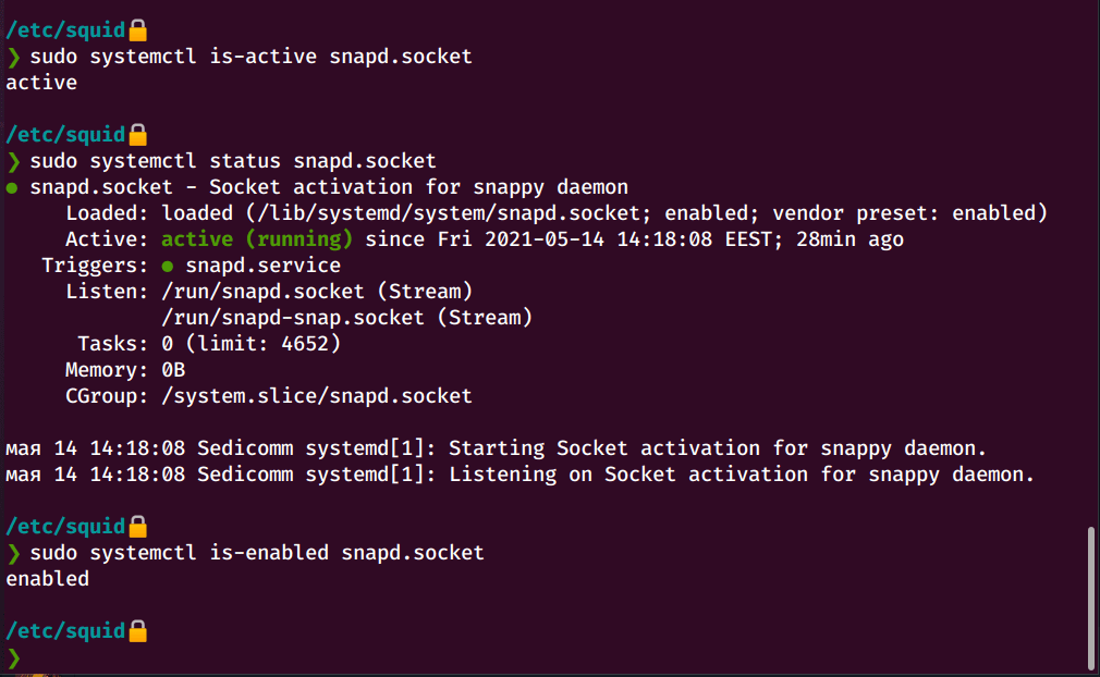Sudo systemctl status. Sudo systemctl status docker. Status Squid.