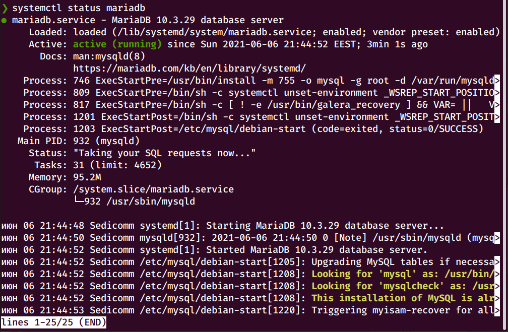 Systemctl enable. Systemctl status. Серверный Debian 10. Панель серверов Debian. Debian Server запуск.