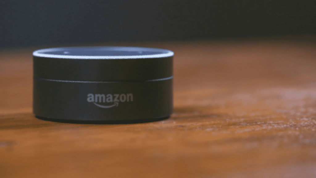 Amazon Alexa раскрывает данные пользователей, специалист по защите информации обязанности Ереван