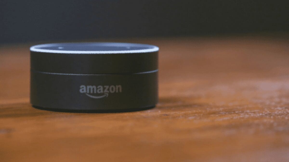 Amazon Alexa раскрывает данные пользователей, специалист по защите информации обязанности Ереван