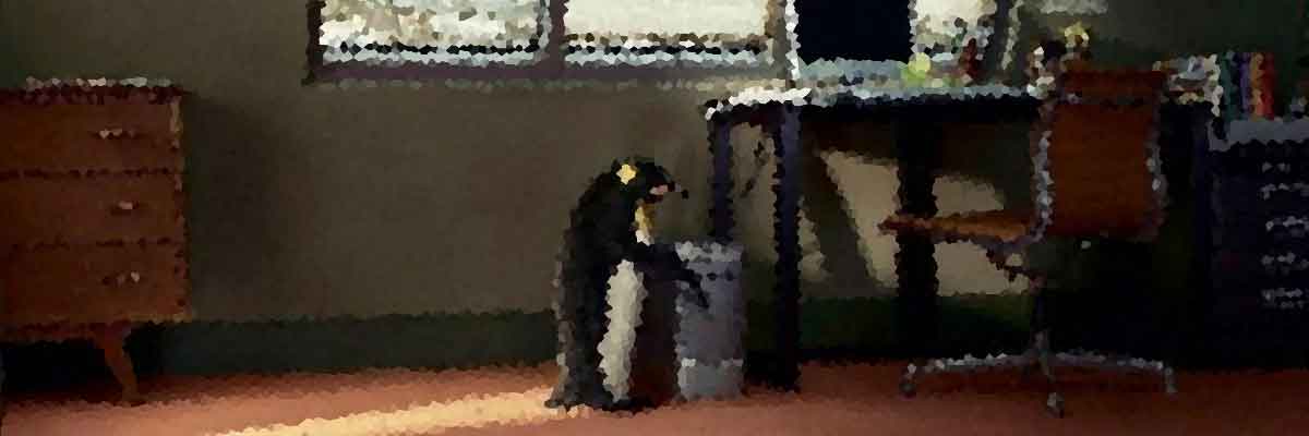Элементарные знания по Linux для трудоустройства, профессия системный администратор Linux обучение Киев