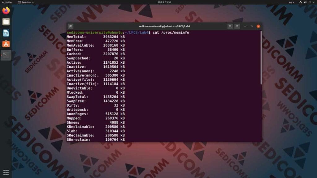 Проверяем объем ОЗУ у компьютера под управлением Linux