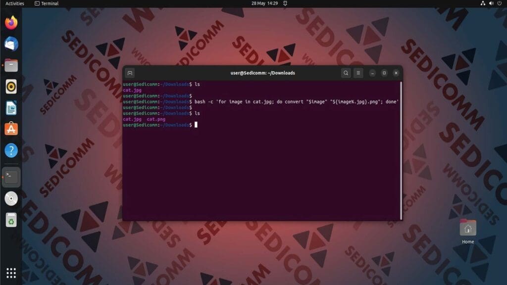bash