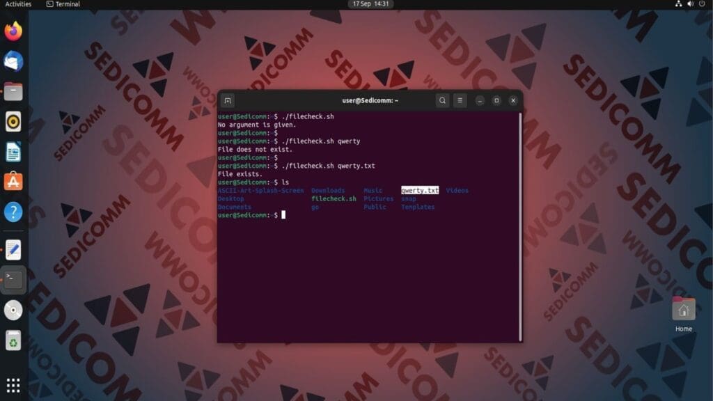 execute filecheck 3
