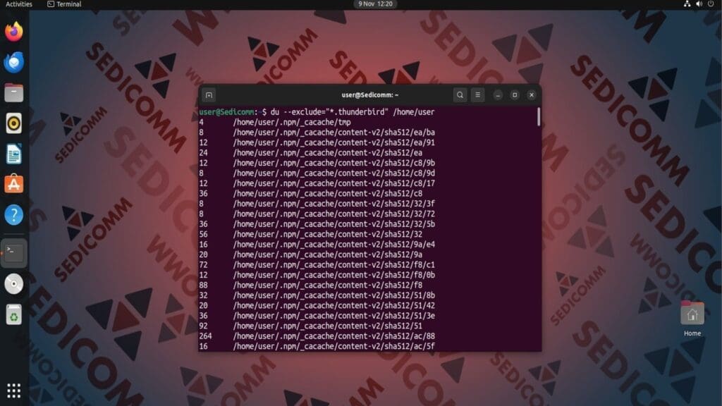 du exclude files