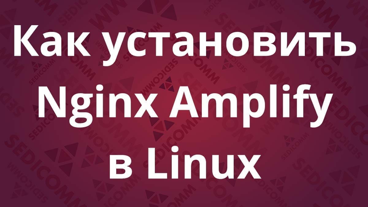 Как установить Nginx Amplify в Linux