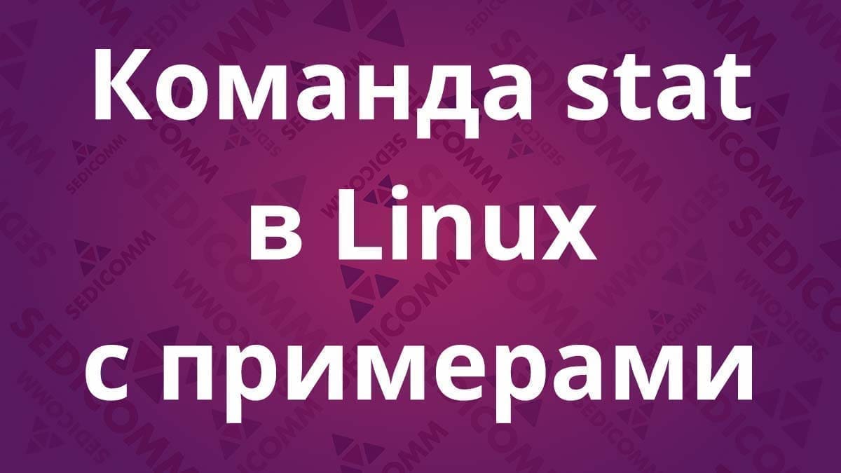 Команда stat в Linux с примерами